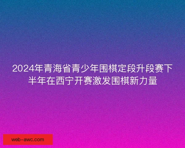 2024年青海省青少年围棋定段升段赛下半年在西宁开赛激发围棋新力量